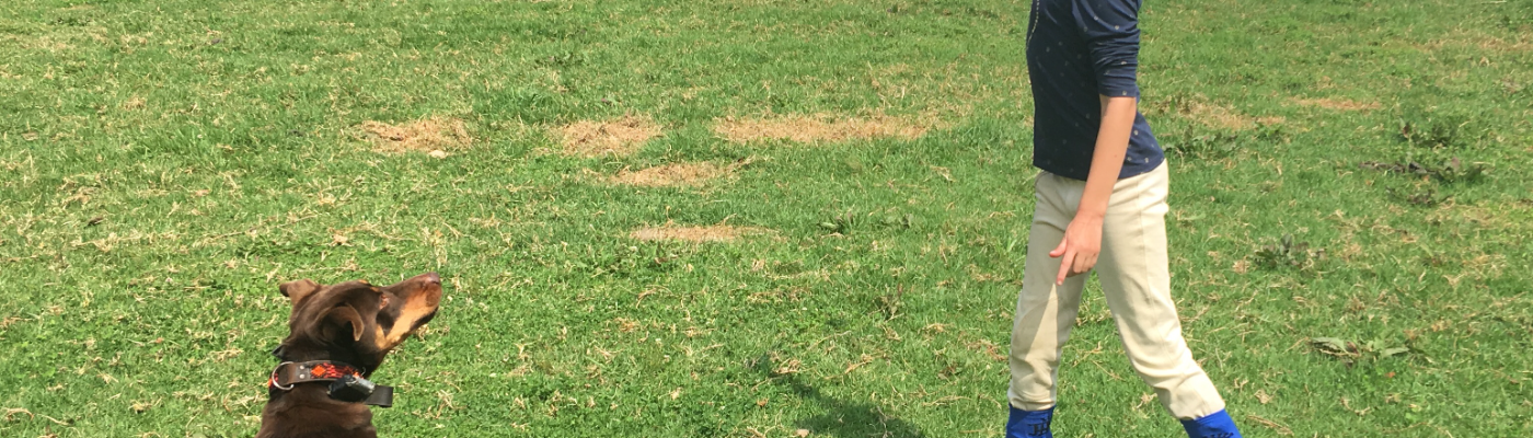 Profile banner image for Romax