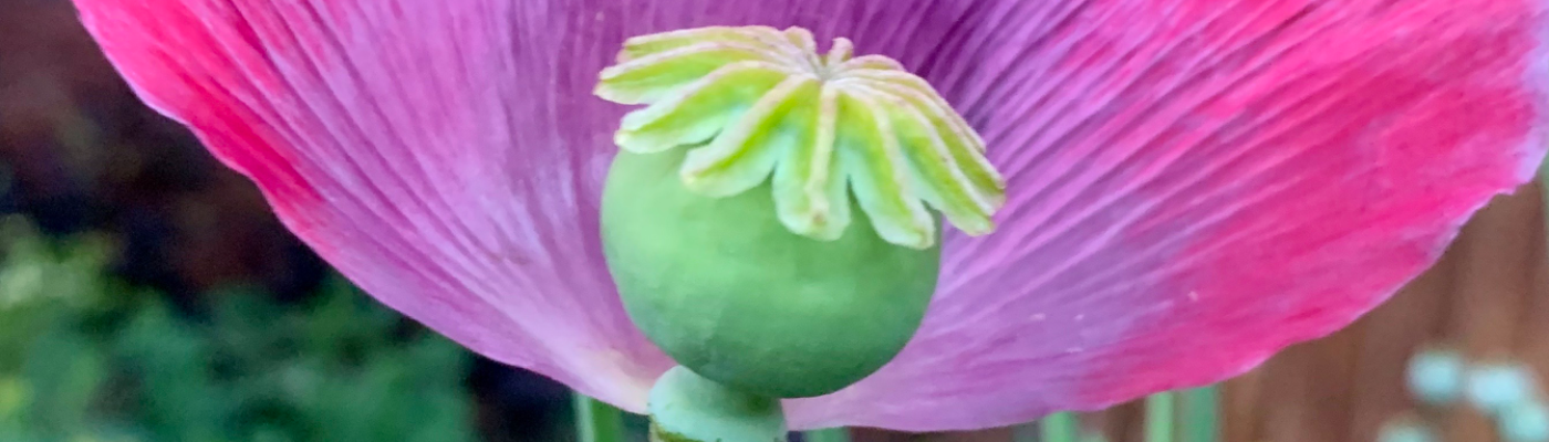 Profile banner image for vlb26mno