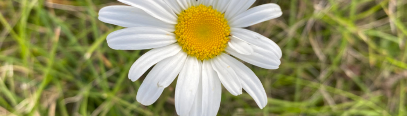 Profile banner image for sarahmay00