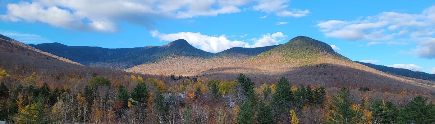 Profile banner image for Cyndichainsaw