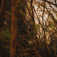 Profile avatar image for Porcelina1601