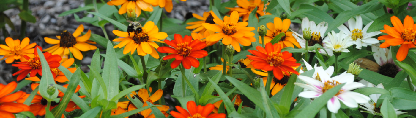 Profile banner image for jrsalmons