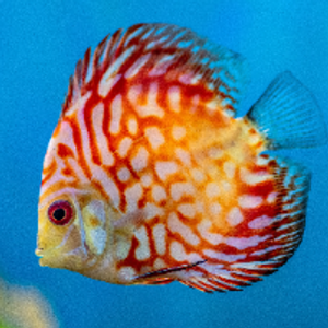 Profile avatar image for tbrun