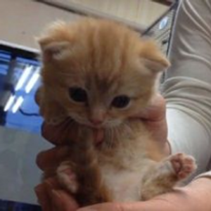 Profile avatar image for Spacetimer