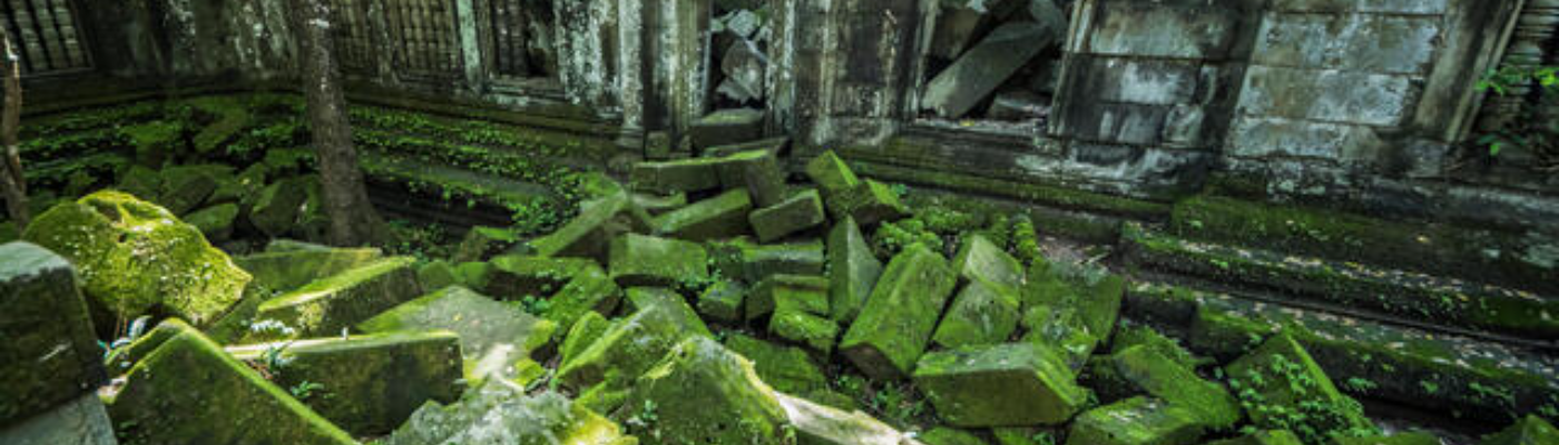 Profile banner image for ReignofDazzling