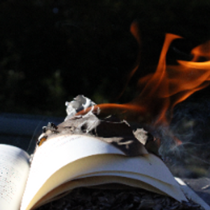 Profile avatar image for Star5795