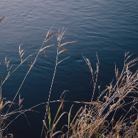 Profile avatar image for MaybeTomorrow