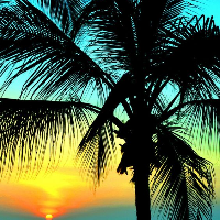 Profile avatar image for emilieeharris