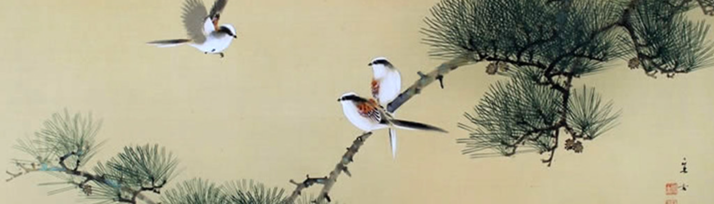 Profile banner image for LadyAsik