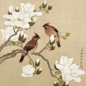 Profile avatar image for LadyAsik