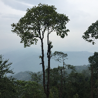 Profile avatar image for Rhythm