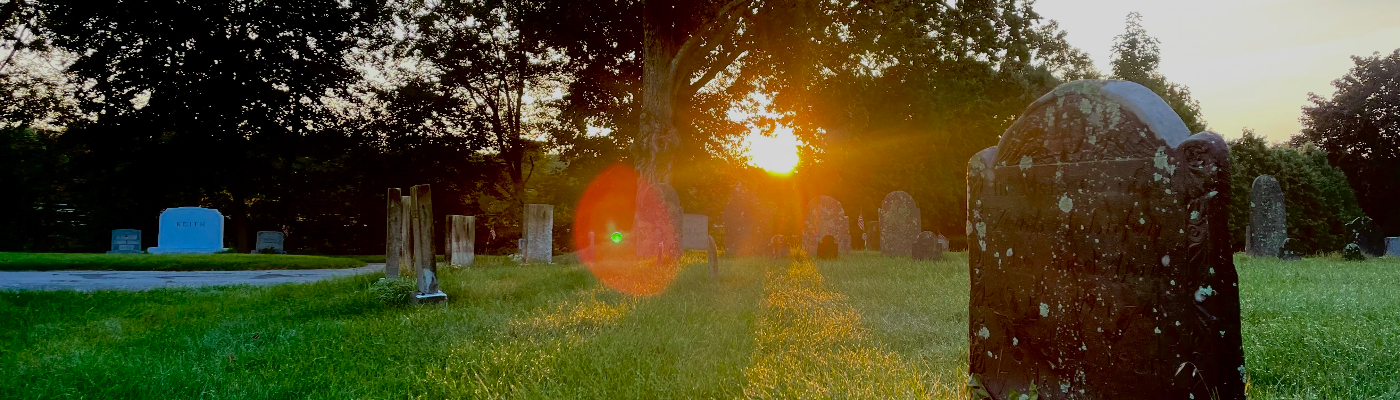 Profile banner image for absurdaesthetic