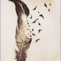 Profile avatar image for ilieforaliving