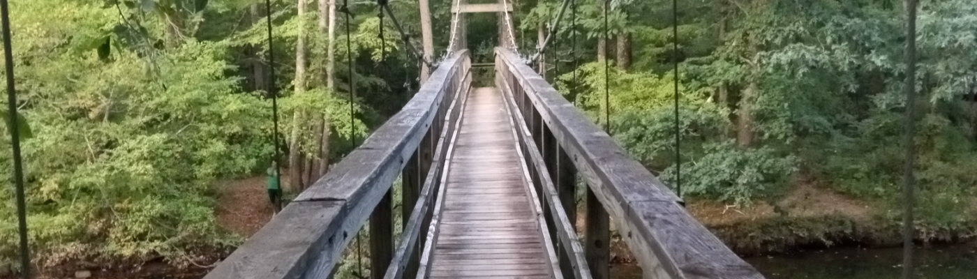 Profile banner image for Netta