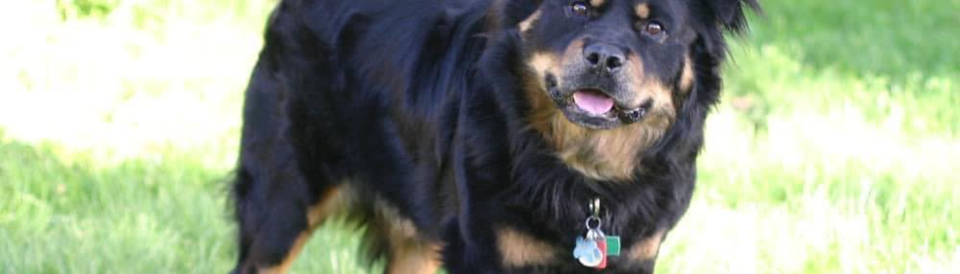 Profile banner image for NaudyValentine