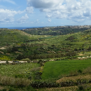 Profile avatar image for Tamarin