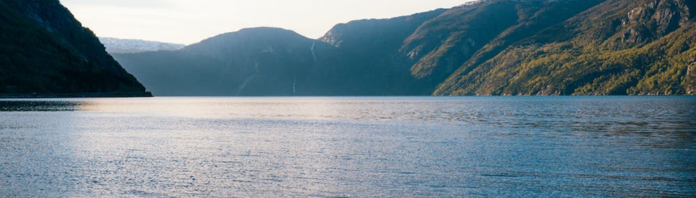 Profile banner image for blueshades