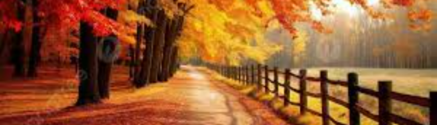 Profile banner image for NoxEmber