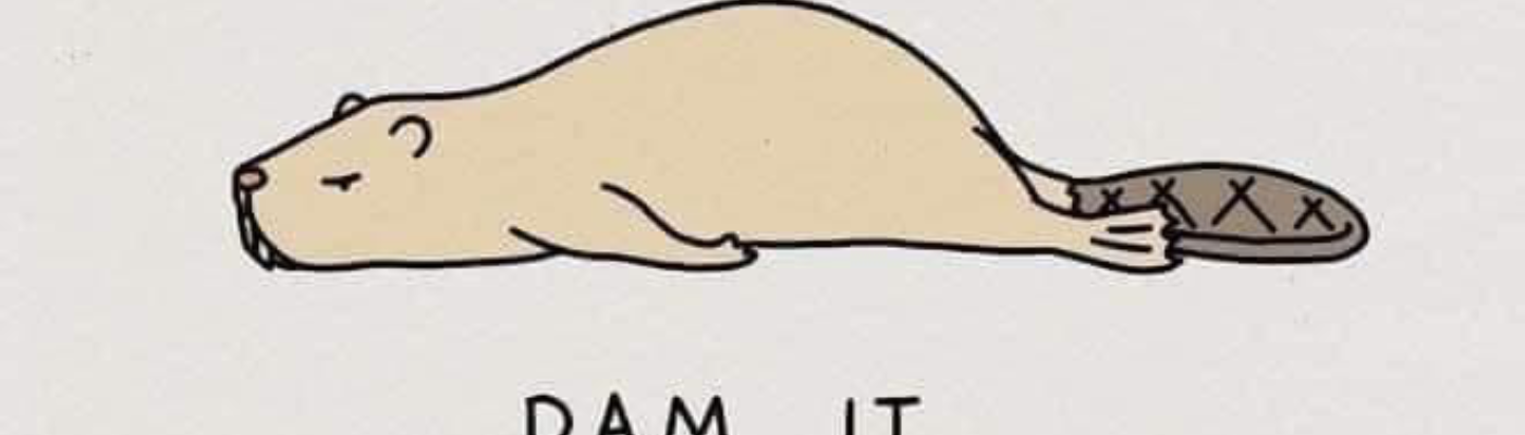 Profile banner image for Maxie5970