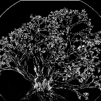 Profile avatar image for applejuicepunch