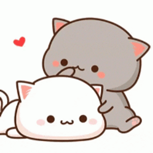 Profile avatar image for Elisha2012