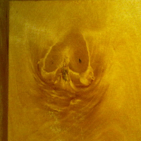 Profile avatar image for Monthrox