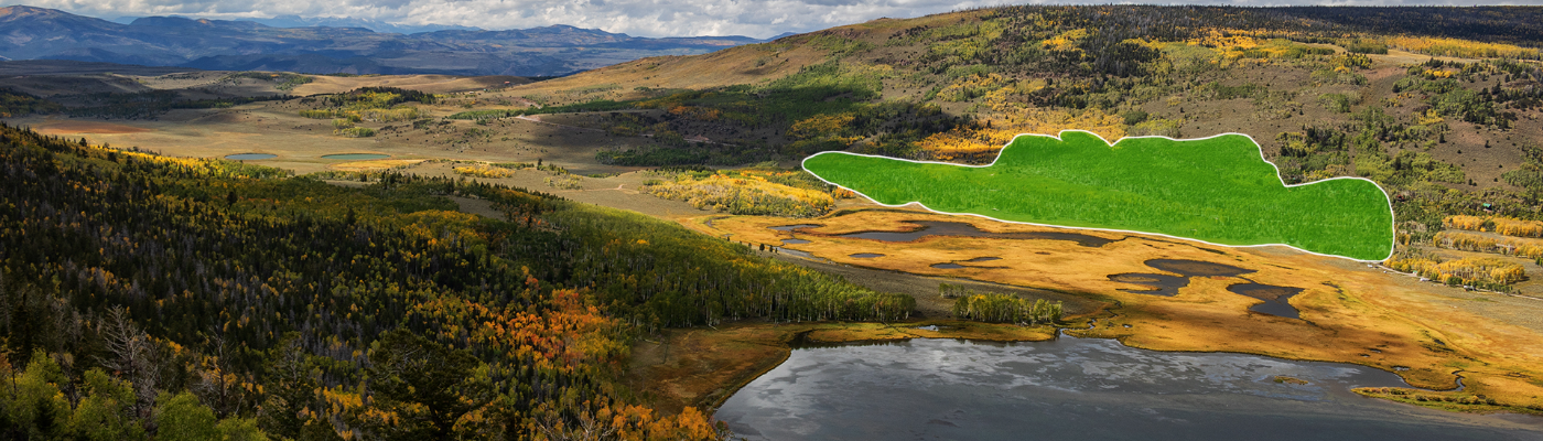 Profile banner image for JadeAndCrimson