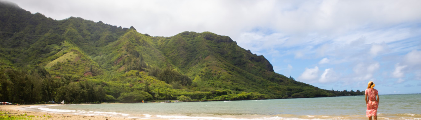 Profile banner image for Tara_Kim