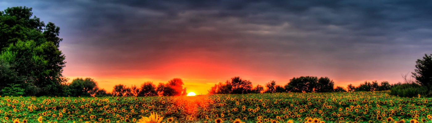 Profile banner image for TariTrue