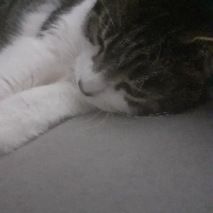 Profile avatar image for DoctorLuChart82