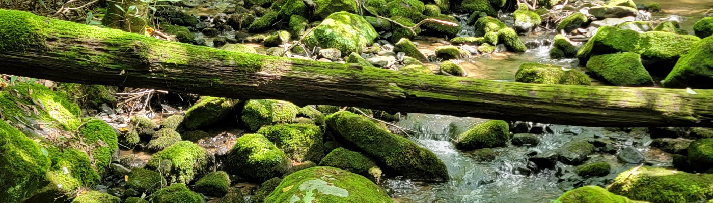 Profile banner image for JaR315