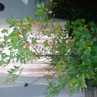 Profile avatar image for KLongacre