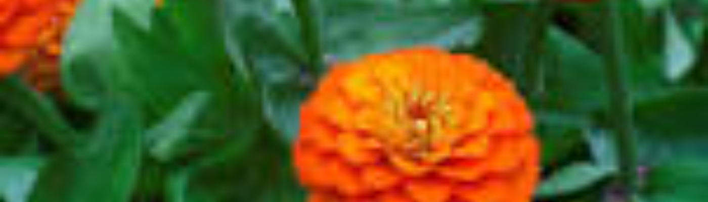 Profile banner image for _Maddie_