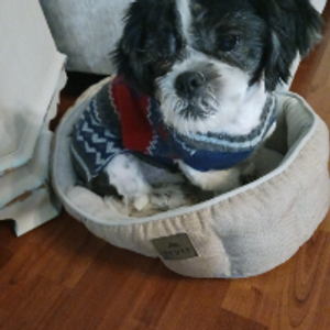 Profile avatar image for njones