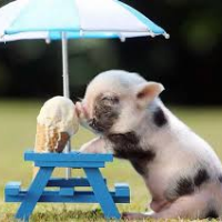 Profile avatar image for LostInWords