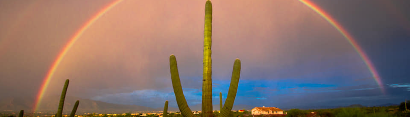 Profile banner image for HopeArlen