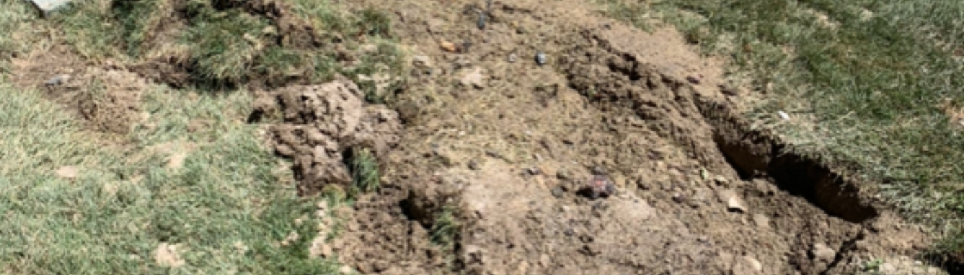 Profile banner image for Nordski