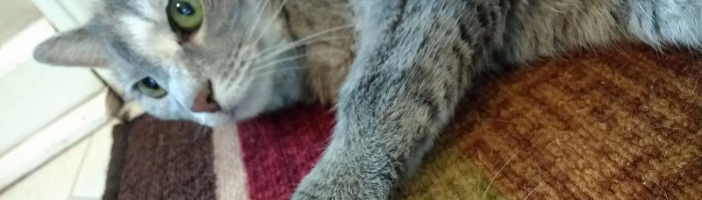 Profile banner image for PumpkinOfGlory