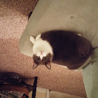 Profile avatar image for deborahgrace123