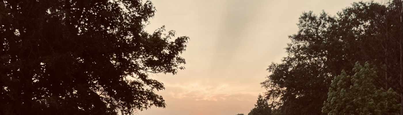 Profile banner image for the_fisherman