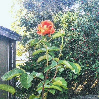 Profile avatar image for bthaxton