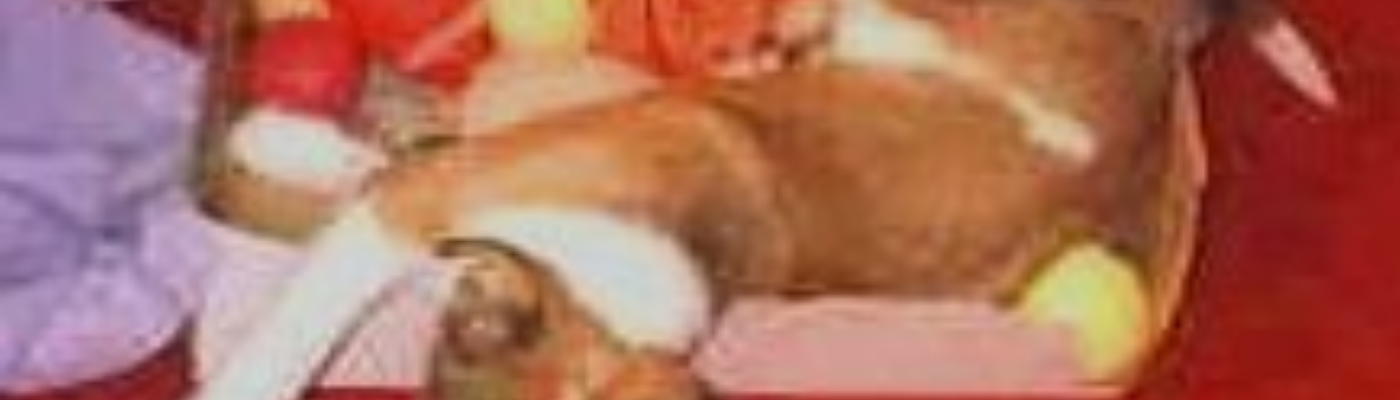 Profile banner image for jassrichards