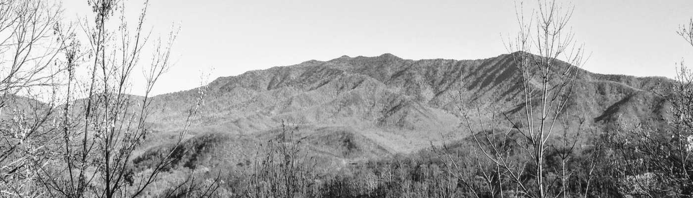 Profile banner image for ScotlinT