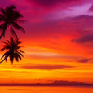 Profile avatar image for _Alyssa_