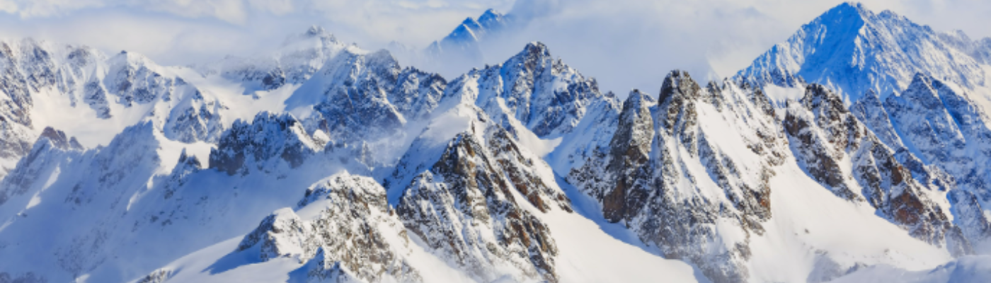 Profile banner image for DandelionWine