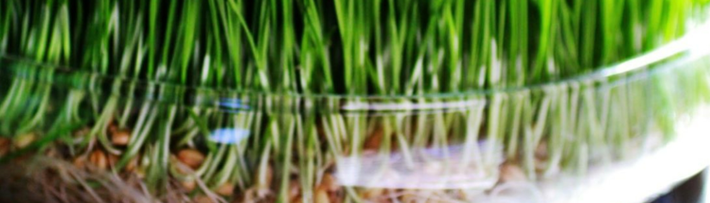 Profile banner image for Selahkx