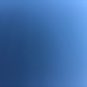 Profile avatar image for Phoebe