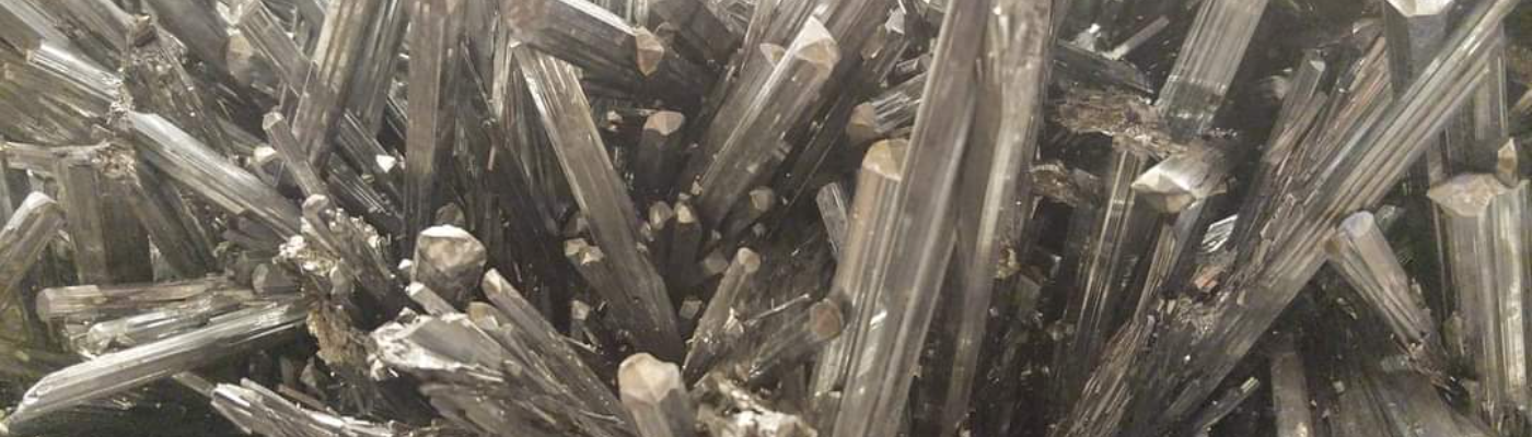 Profile banner image for Sheryl_Nusser