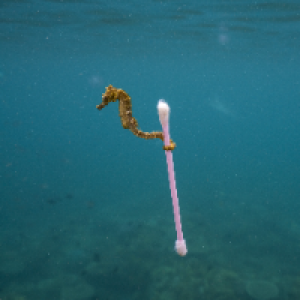 Profile avatar image for Malone