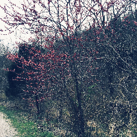 Profile avatar image for blnk